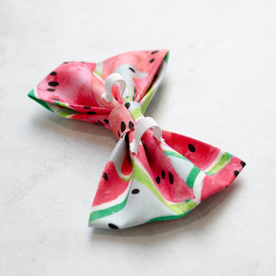 Watermelon Watercolor Bow Tie