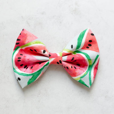 Watermelon Watercolor Bow Tie