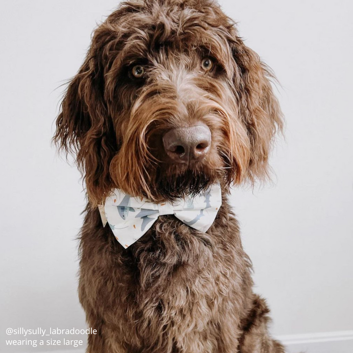 Deep Sea Bow Tie