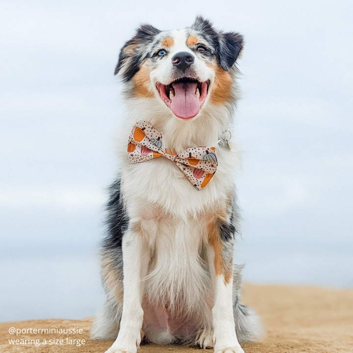 Autumn Harvest Bow Tie