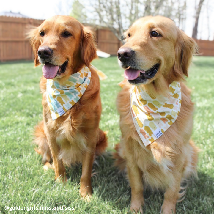 Me & My Peeps Bandana