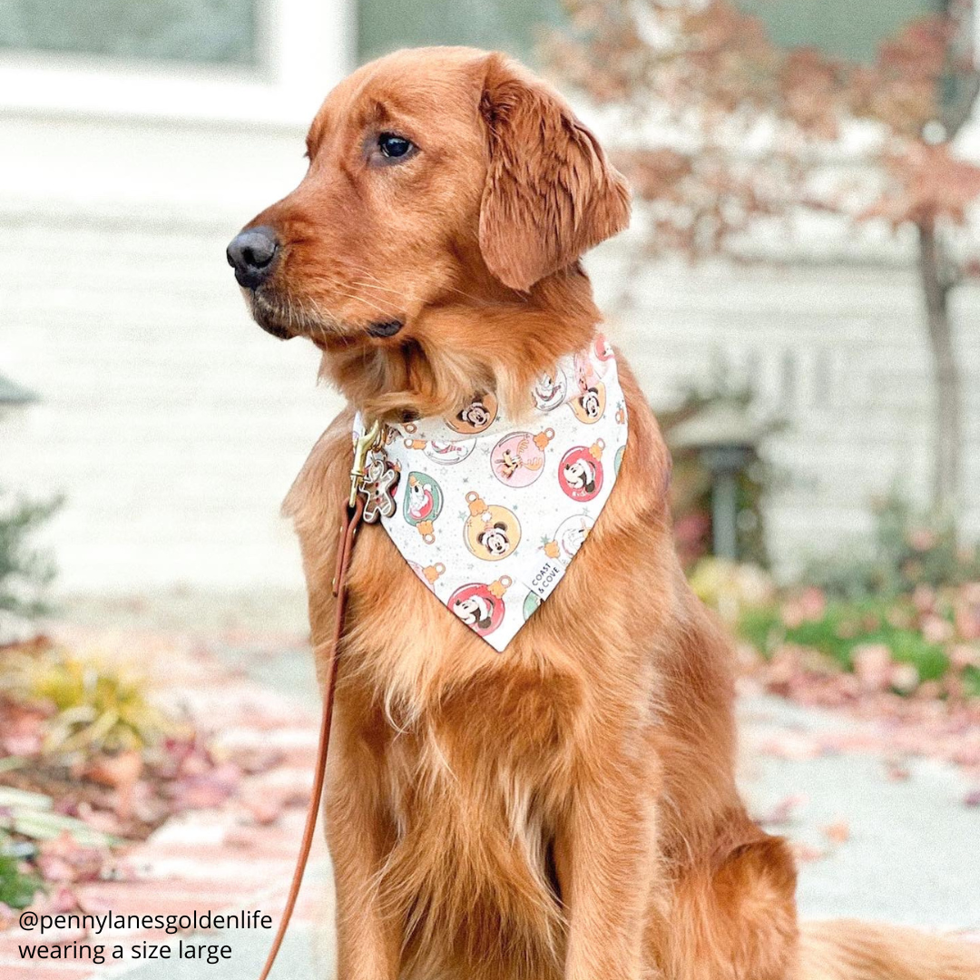 Mickey & Friends Holiday Bandana