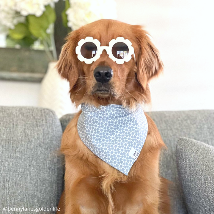 Santorini Bandana