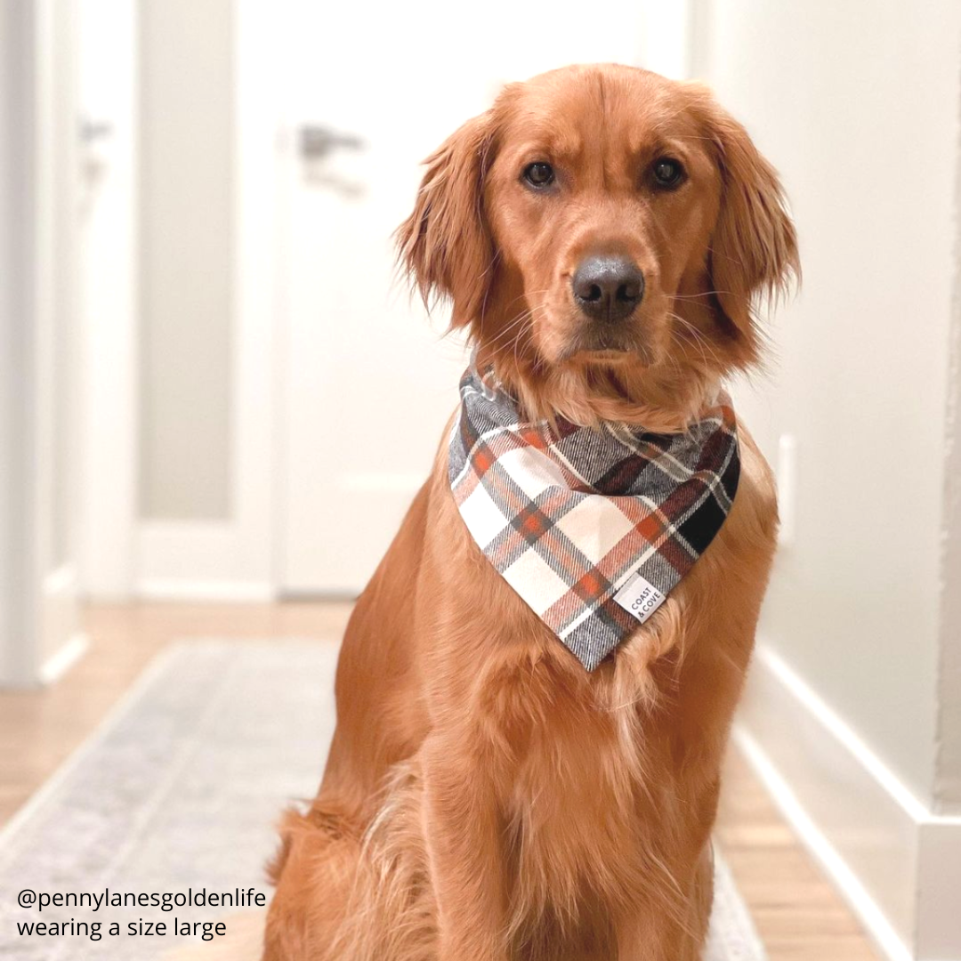 Nightfall Plaid Flannel Bandana