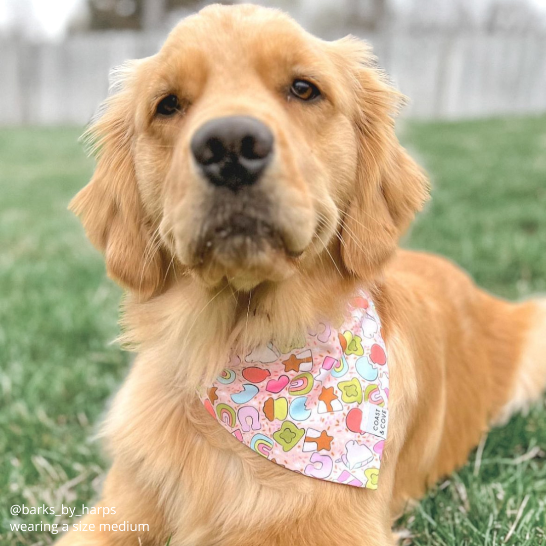 Lucky Charms Bandana