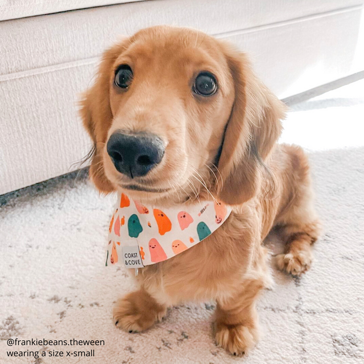 Squad Ghouls Bandana