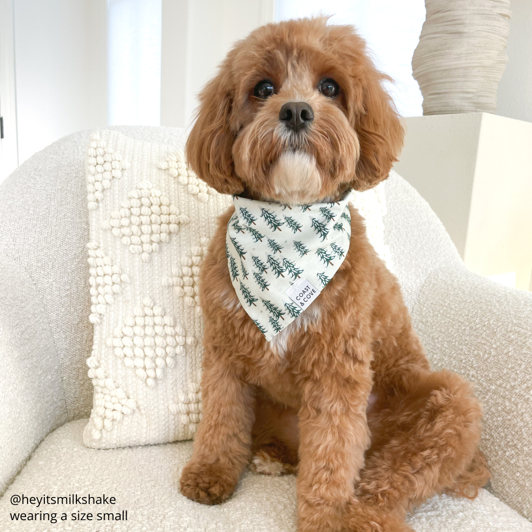 Frosted Forrest Bandana