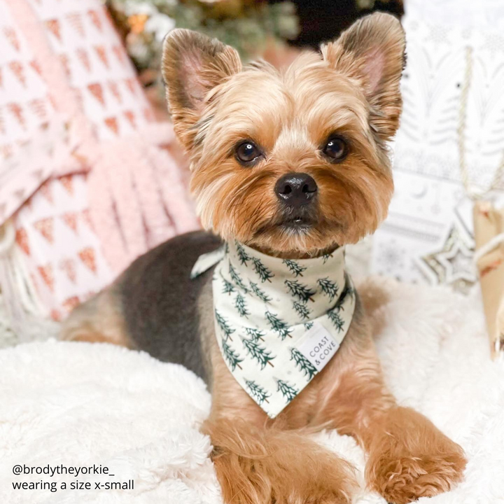 Frosted Forrest Bandana