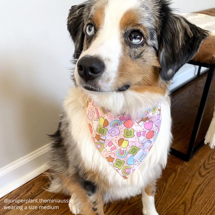 Lucky Charms Bandana