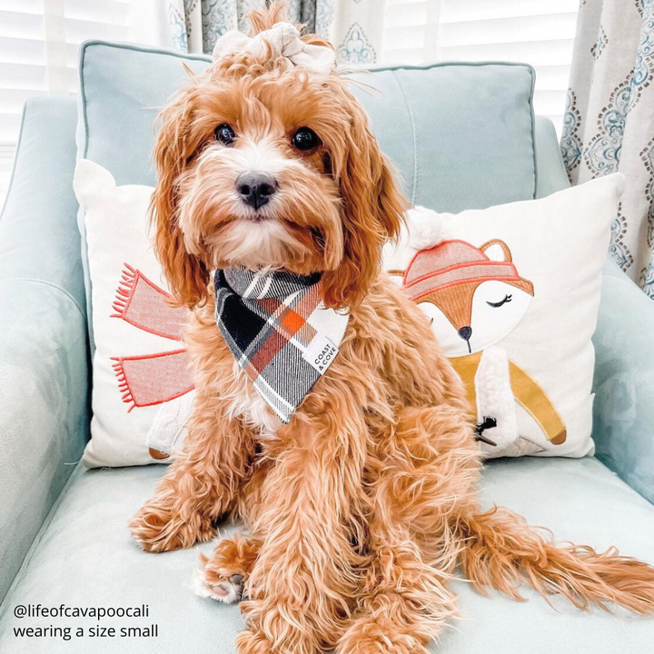 Nightfall Plaid Flannel Bandana