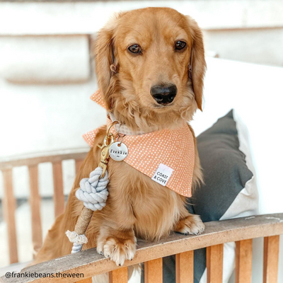 One in a Melon Bandana