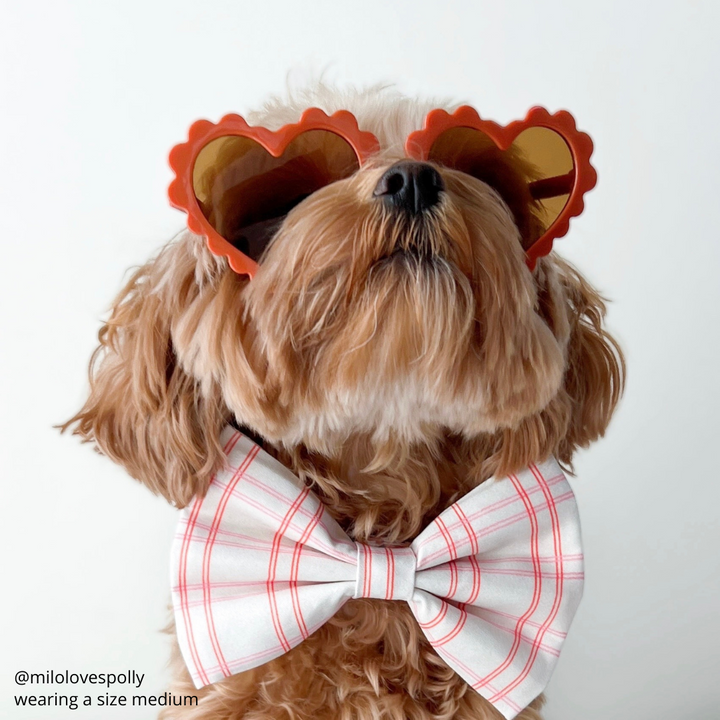 Candy Hearts Bow Tie