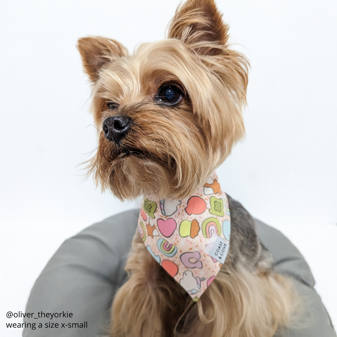 Lucky Charms Bandana