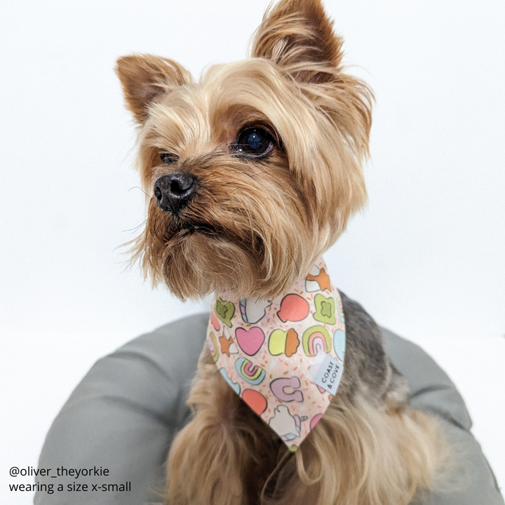 Lucky Charms Bandana