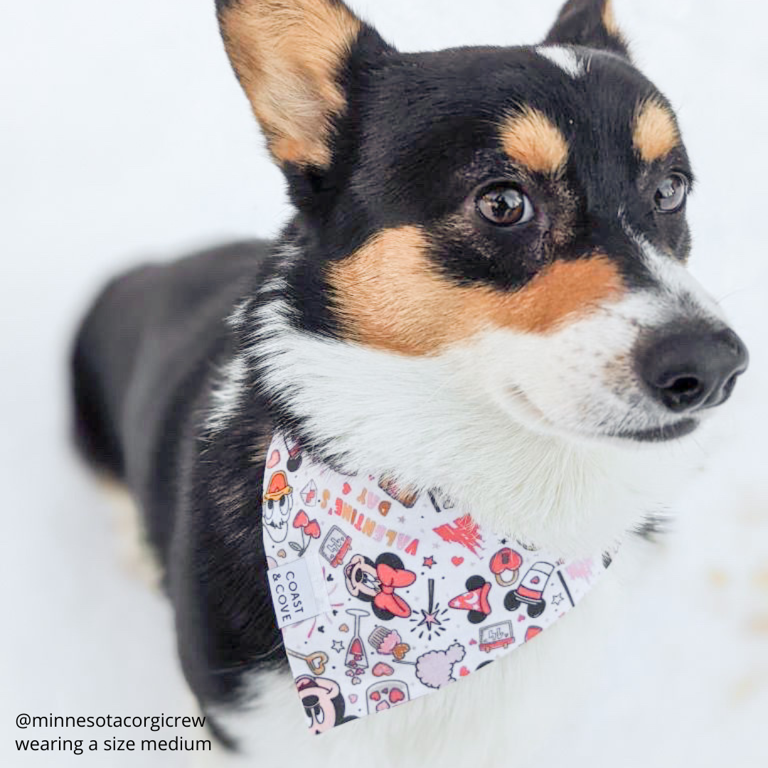 Happily Ever After Bandana