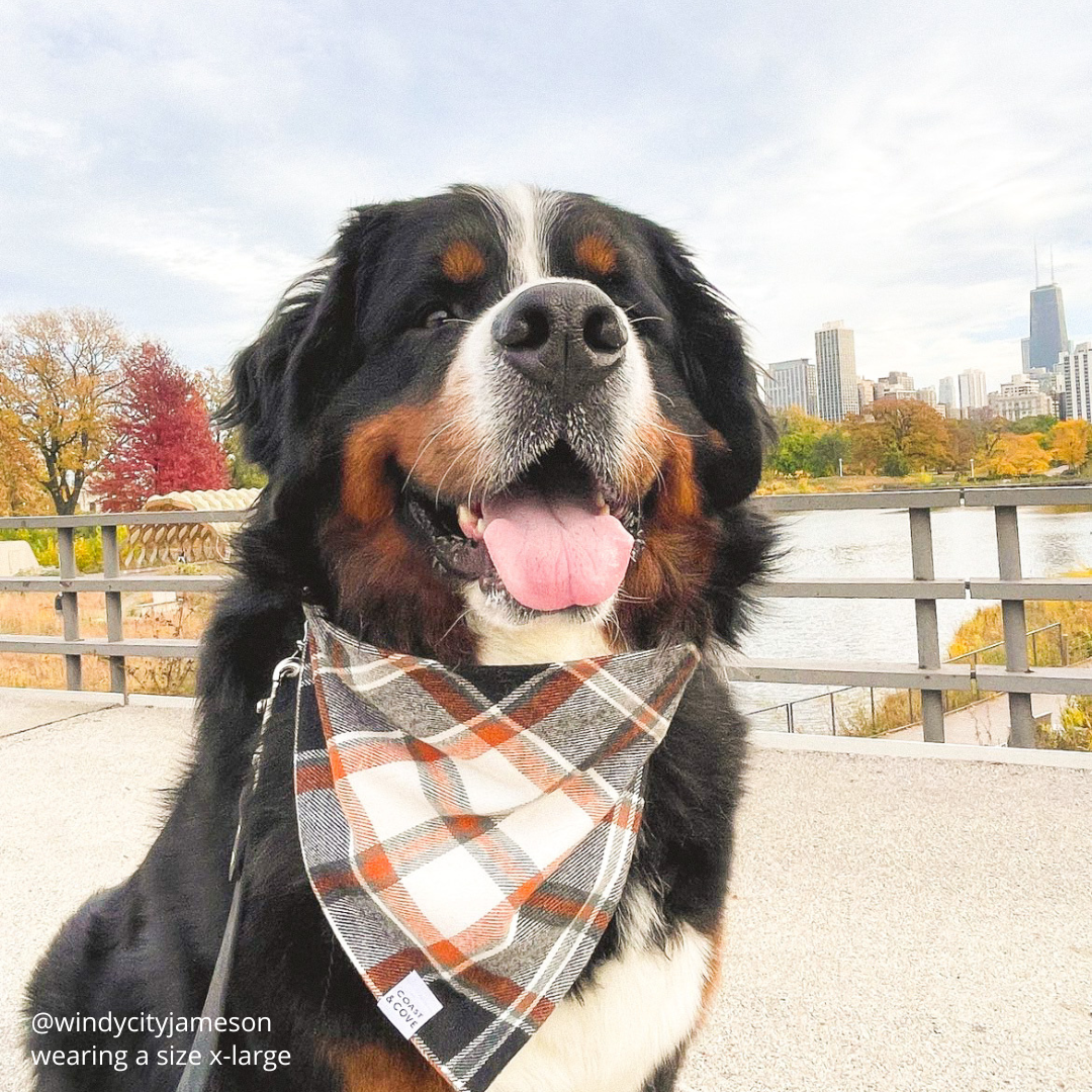 Nightfall Plaid Flannel Bandana