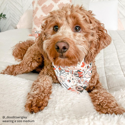 Happily Ever After Bandana