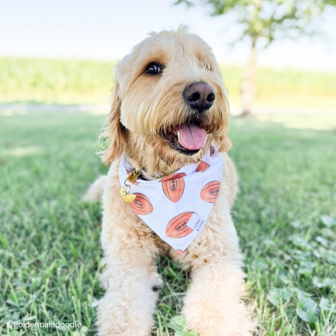 Game Day Bandana