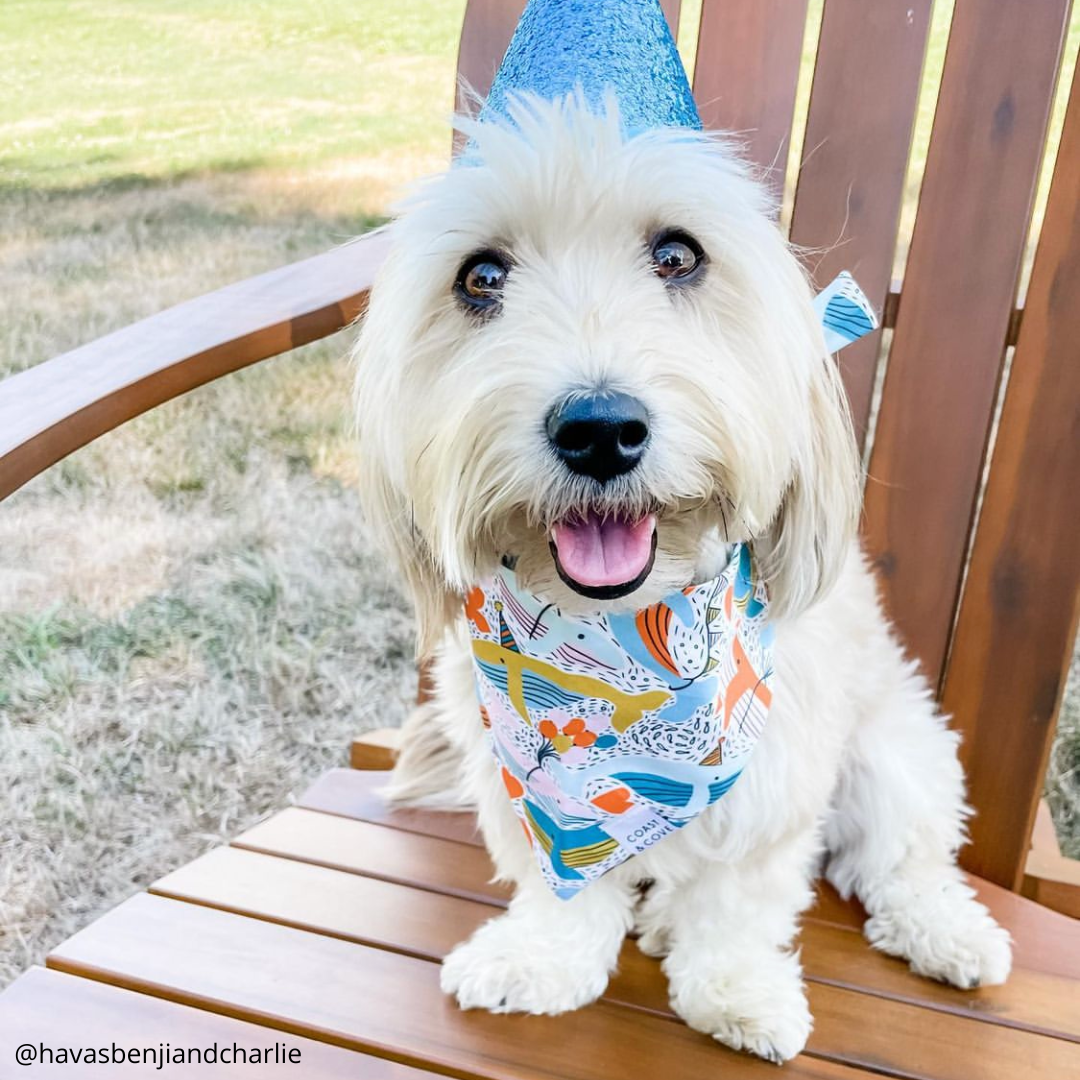 Whaley Good Time Bandana