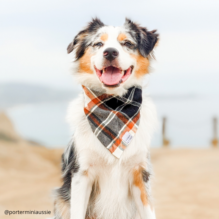 Nightfall Plaid Flannel Bandana