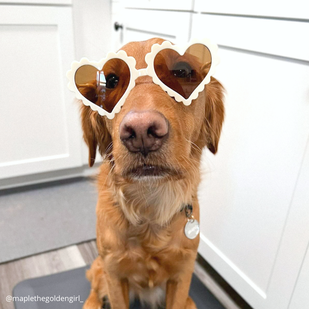 Heart Sunglasses